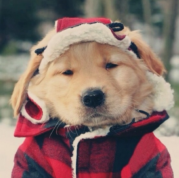 Screenshot 2014-10-20 at 15.44.52