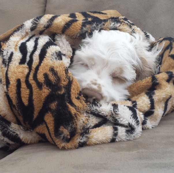 Screenshot 2014-10-20 at 15.45.06