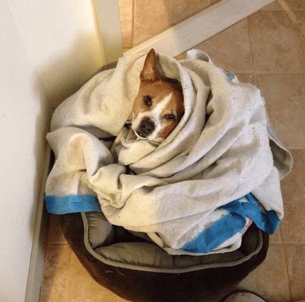 Screenshot 2014-10-20 at 15.45.21