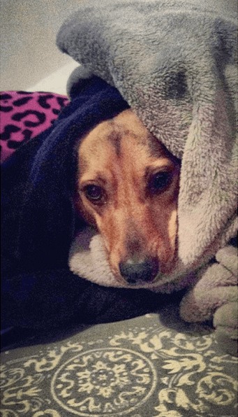 Screenshot 2014-10-20 at 15.45.35