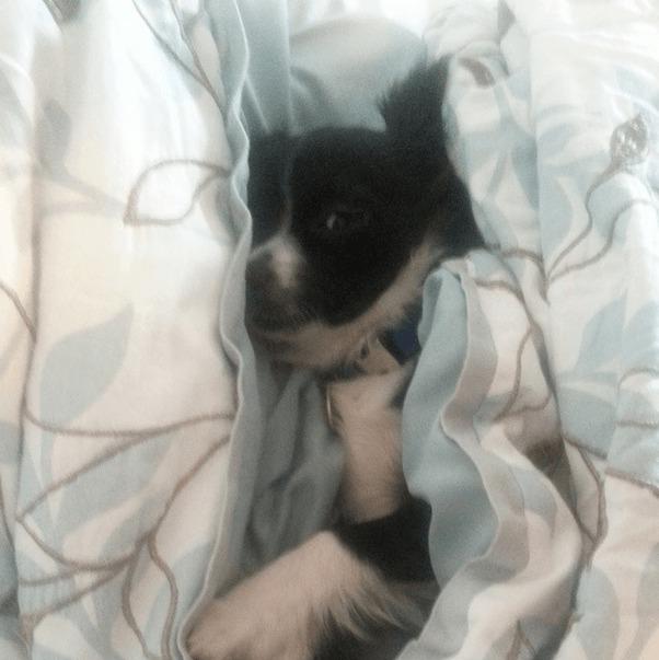 Screenshot 2014-10-20 at 15.45.47