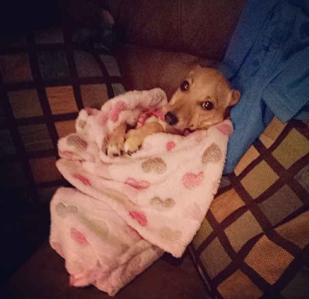 Screenshot 2014-10-20 at 15.46.23