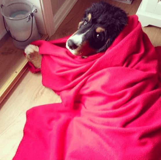 Screenshot 2014-10-20 at 15.46.39