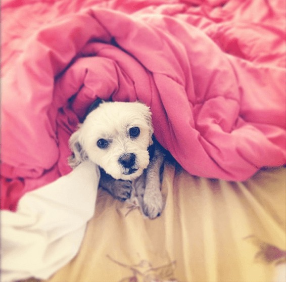 Screenshot 2014-10-20 at 15.46.51