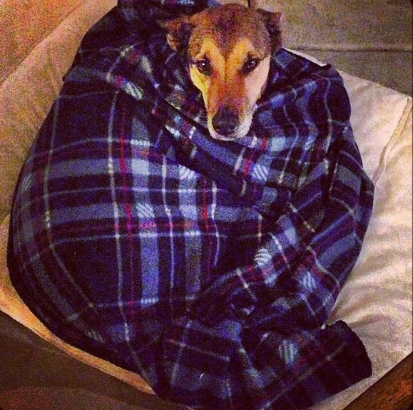 Screenshot 2014-10-20 at 15.47.05