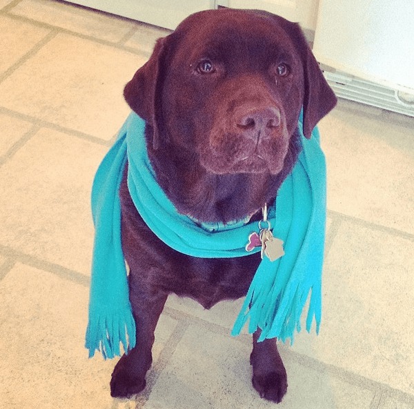 Screenshot 2014-10-20 at 15.47.34