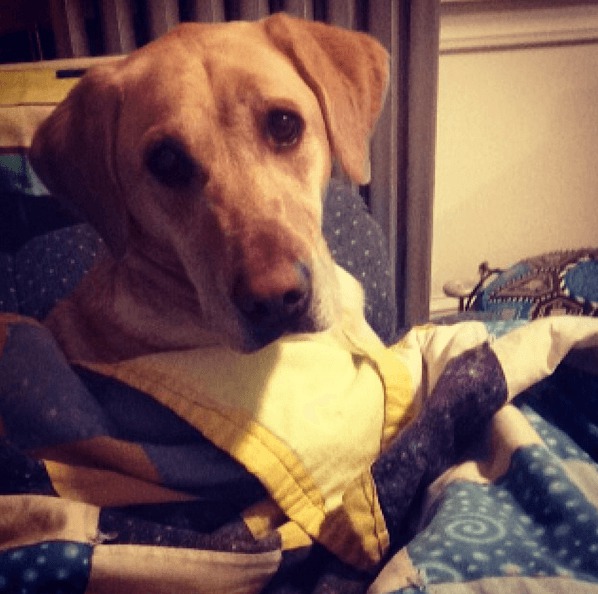 Screenshot 2014-10-20 at 15.47.46