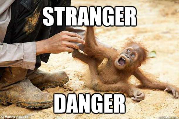 Stranger-Danger-Monkey
