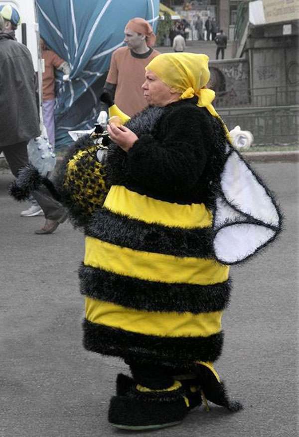 costumes-spicy-bee-not