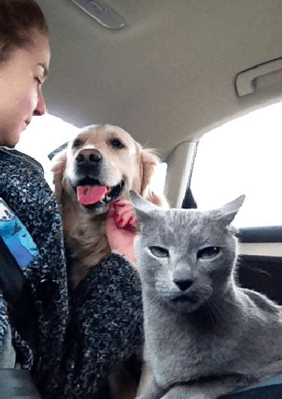 enhanced-23909-1411584505-6