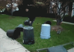 gifs-fail-Darwin-Awards-11