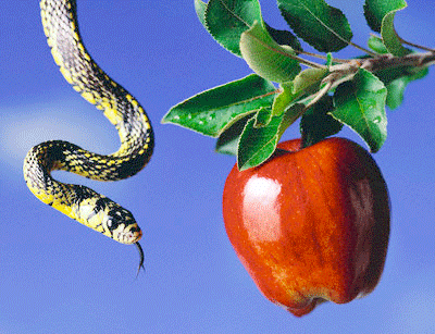 snakeapple