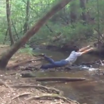 tarzan