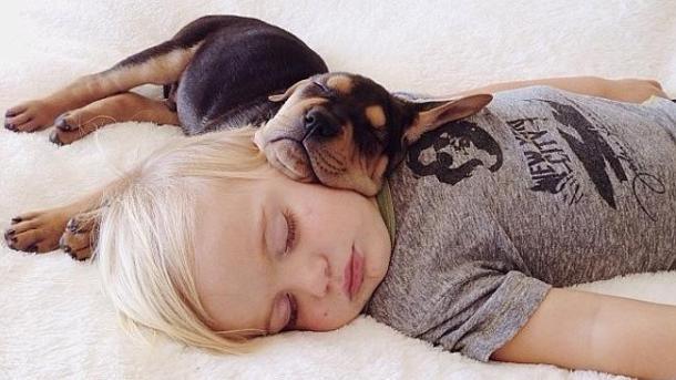 Vous endormir avec votre chien à côté ? Il n'y a rien de plus mimi ! 