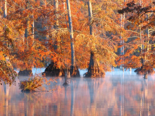 Bluff Lake near Starkville, Mississippi