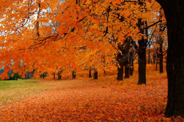 Hales Corner, Wisconsin