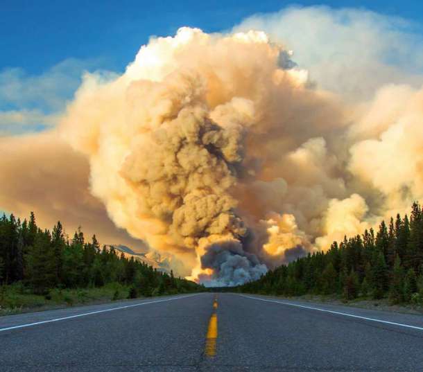 Le feu de forêt dans le parc national Banff, Canada. Cela faisait 300 années qu'il n'y avait pas eu de feu dans cette forêt.