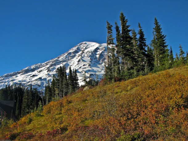 Mt. Ranier in Washington