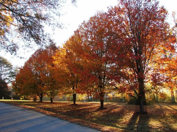 Pickens County, South Carolina