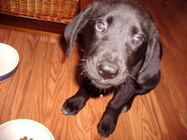 Il vous soutient dans les moment difficiles