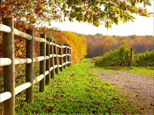 South River Winery in Ohio