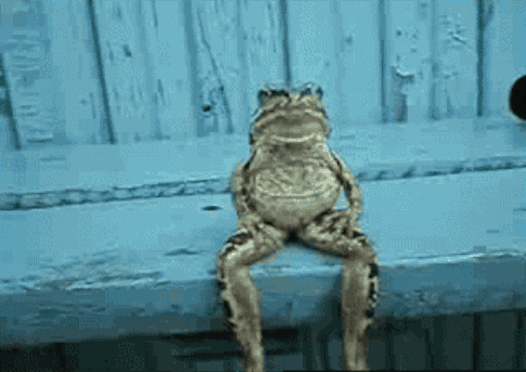 anigif_enhanced-3843-1415225283-7
