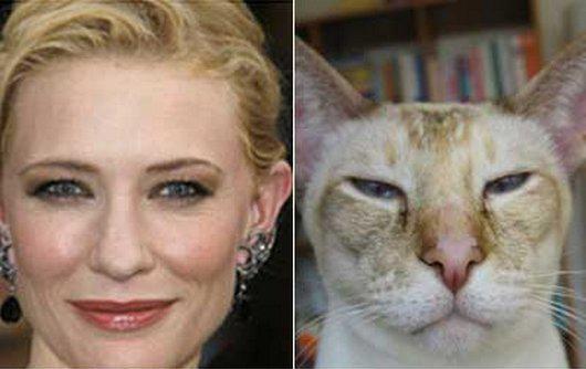 celebrities-famous-people-look-like-funny-cat-photos10