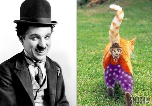 charliechaplin-cat