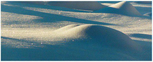 erotic-nature-sand-659x267