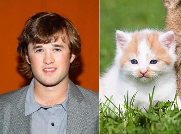 gal-look-alike-haley-joel-osment