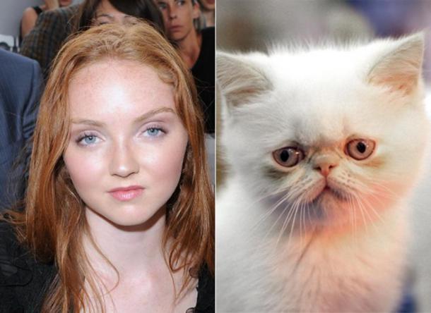 lily cole