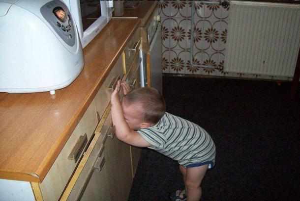 Apparemment, le micro-ondes lui a volé son repas