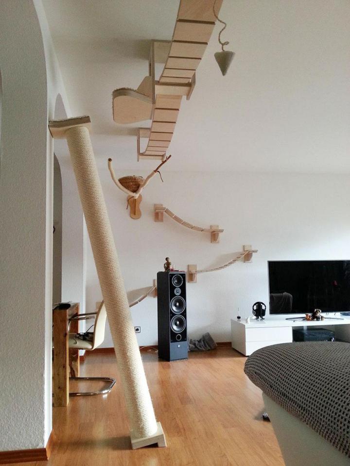 overhead-cat-playground-room-goldtatze-3
