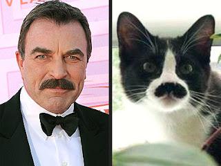 tom selleck