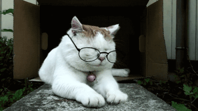 tumblr_lqb46lIaKJ1qb5gkjo1_400