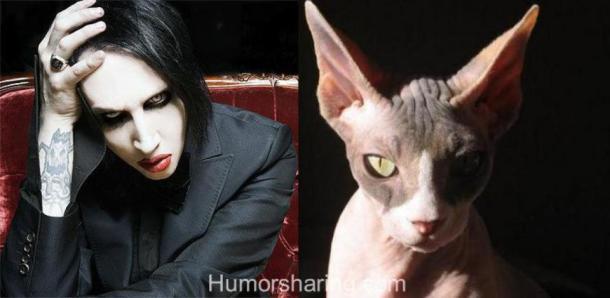 v_marilyn_manson_marilyn_manson_cat1_4f5ca2fdadfc9