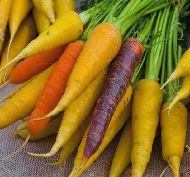 Les carottes multicolores ou comment mettre de la bonne humeur dans votre assiette. Au-delà de la question esthétique, chaque carotte de couleur avait une spécificité ( plus de vitamines, plus de carotte etc…)