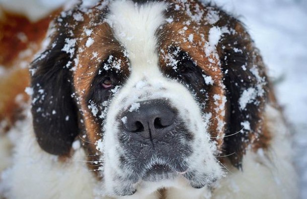 Même si j'adore la neige, je préfère être au chaud.