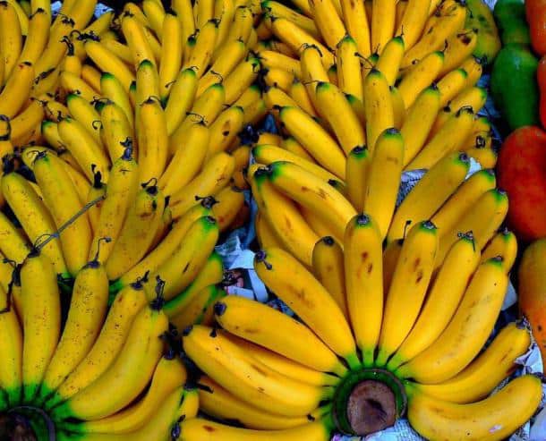 Les super bananes ! Ces bananes ont été créées pour répondre à une situation alarmante en Afrique sub-saharienne. Elles ont pour particularité d'être enrichies en vitamine A. Les modifications génétiques visent à offrir les nutriments et les vitamines nécessaires au bon développement des enfants.
