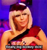 giphy (8)