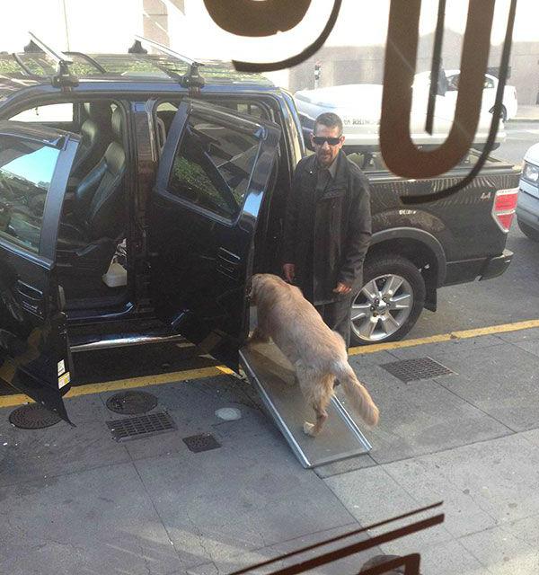Parce que ses 3 chiens étaient vieillissants, cet homme a décidé de changer un peu ses habitudes...