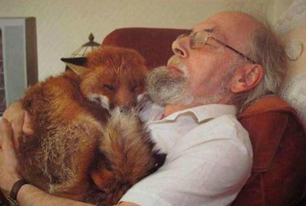 Cropper a souffert de plusieurs blessures lorsqu'il s'est retrouvé au milieu d'un affrontement entre chiens. Grâce à la bonté de cet homme, il est complètement guéri aujourd'hui. Cependant, il n'est jamais retourné