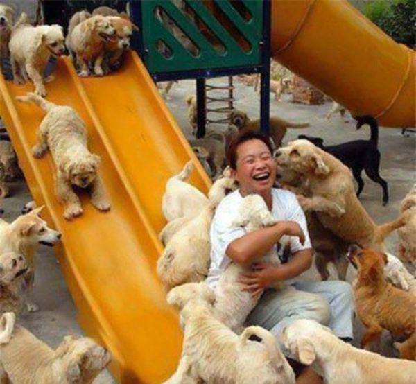 Sans la générosité de cet homme - qui a accepté de débourser 8 000$- ces animaux seraient morts...