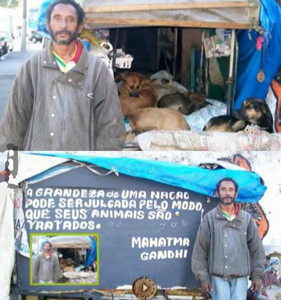 Au Brésil, un sans-abri a attiré l'attention du fait de la générosité dont il a fait preuve envers ses animaux. Bien qu'il ait des difficultés à se nourrir, il fait toujours de son mieux pour traiter ses compagnons d'infortune avec le plus grand respect