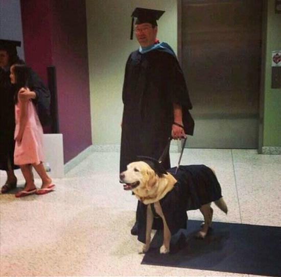 Ce chien a reçu un titre honorifique à l'université où son maître étudiait pour le récompenser de sa fidélité et de son soutien pendant toutes ces années. 