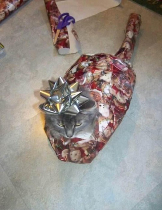 pires-emballages-cadeaux-noel-7-720x934