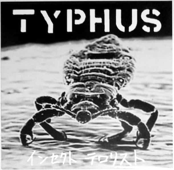 typhus_lp