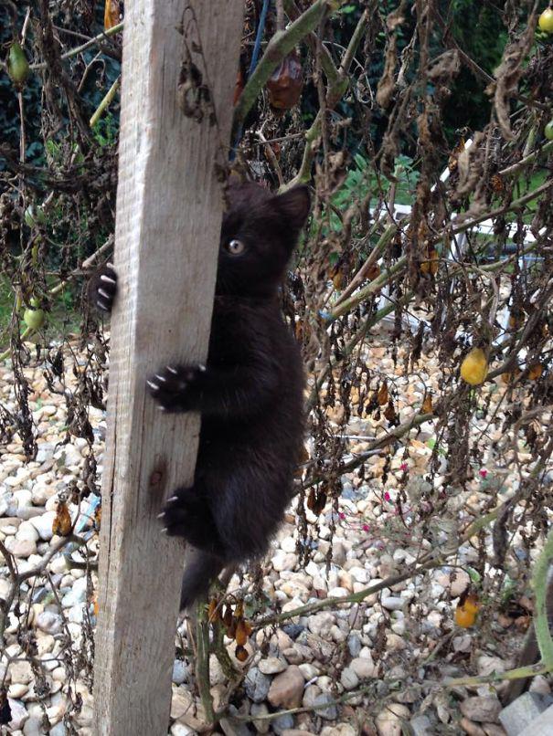 10708208_935956526419704_1862999244_n1__605