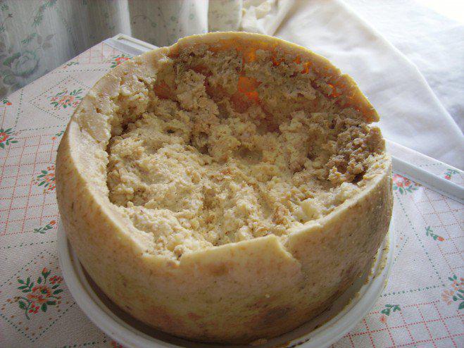 Casu_Marzu_cheese-659x494