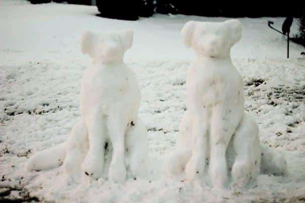 IMG_41586935202538__605